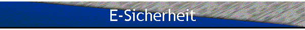 E-Sicherheit